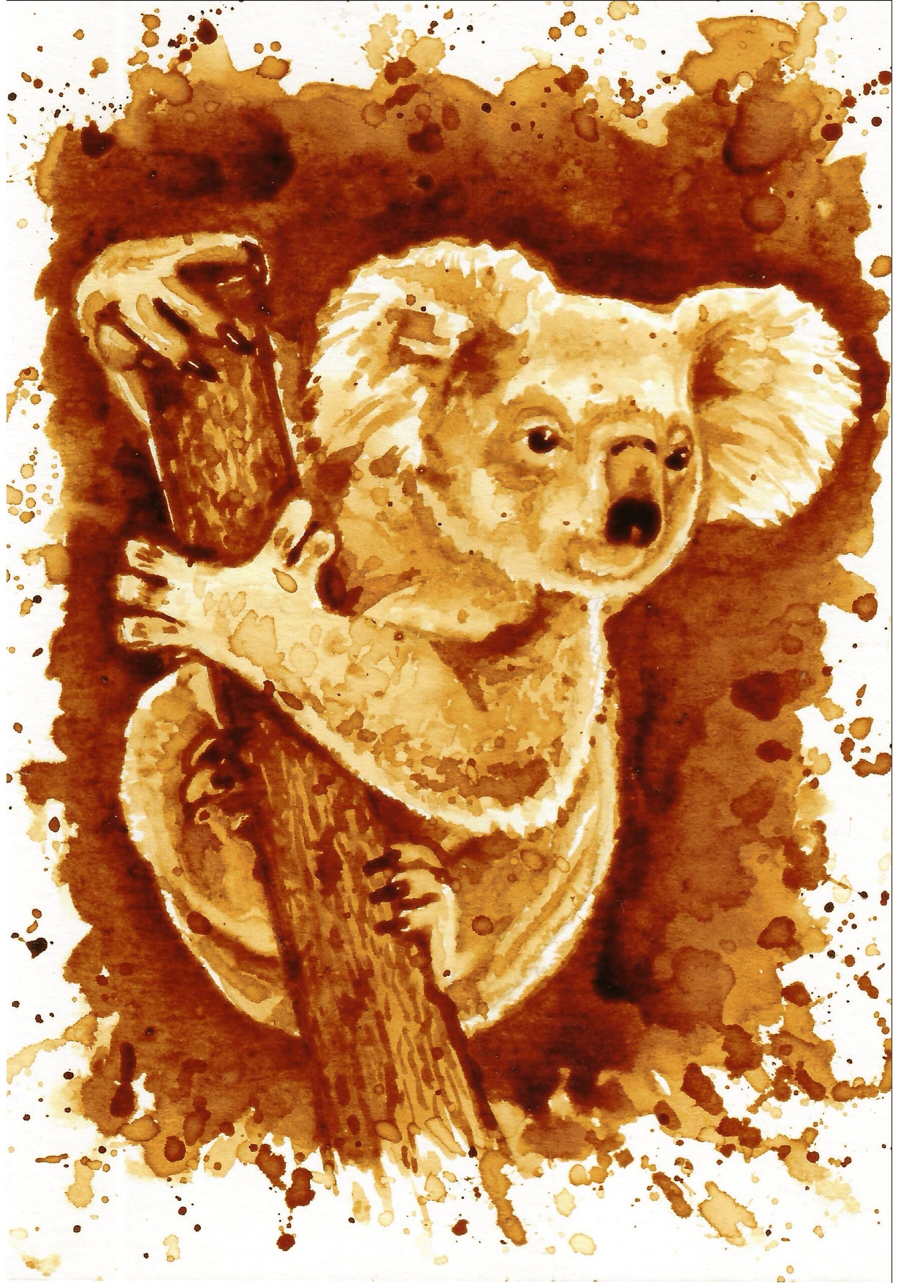 Koala bear chaosome art